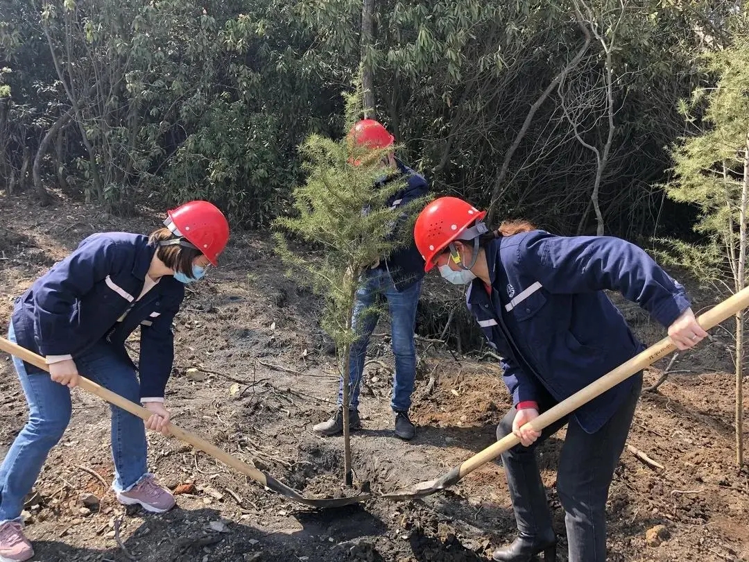 640 (1).webp (2).jpg