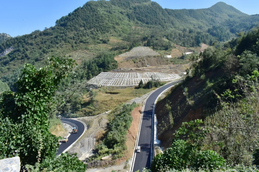 640 (1).webp (1).jpg